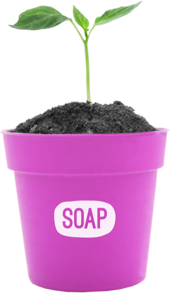 Soap Media plant pot